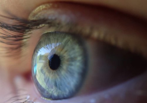 Слепые обрели зрение с помощью биоискусственных роговиц